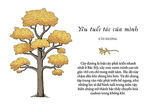 Sống Như Những Cái Cây - Những Bài Học Nhỏ Để Có Nguồn Hạnh Phúc Bất Tận (Tái Bản 2021)