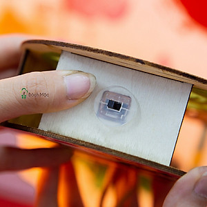 Lồng Đèn Trung Thu Gỗ Mộc Màu : Đèn Lân Sao - Bách Mộc 09 (Có Kèm Pin)