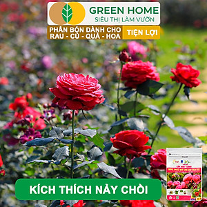 Phân Bón NPK Greenhome, Chuyên Rau Ăn Lá, Củ, Cây Ăn Trái, Hoa, Dinh Dưỡng Cân Đối, Chắc Rễ, Khoẻ Cây, Bông To, Sai Quả