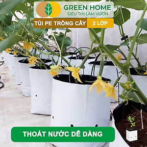Túi Trồng Cây GreenHome, PE 2 Lớp, Chống UV, Tiện Lợi, Kinh Tế, Độ Bền 1,5 Năm, Trồng Rau, Hoa, Dâu Tây