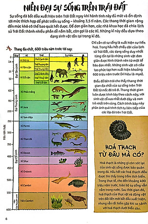 Sách Thời Cá Voi Biết Đi