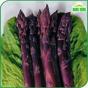 Hạt giống Măng Tây Tím - Hạt giống Rạng Đông