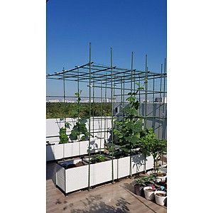 Chậu ghép trồng cây Hàng Chính Hãng DAIM Nhật Bản L51*W43*H46cm Chậu nhựa thông minh trồng rau, hoa, cây cảnh tại nhà