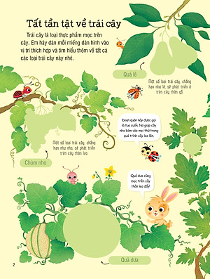 First Sticker Book - Sách Dán Hình Đầu Đời Cho Bé - Trái Cây Và Rau Củ