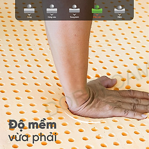 Nệm Gấp 3 Cao Su Thiên Nhiên Đồng Phú- Đàn hồi-hỗ trợ thẳng lưng- Bảo hành 7 năm.