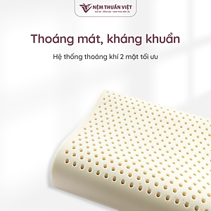 Gối Nằm Cao Su Thuần Việt - Thiết Kế Lượn Sóng, Êm Ái, Giảm Đau Gáy Cổ