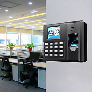Máy Chấm Công Quét Vân Tay Mini  6699