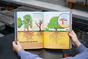 Sách Britannica's Encyclopedia Infographica - Bách khoa thư bằng đồ họa