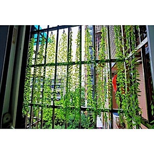 Dây Cúc Tần Ấn Độ Giả Dài 100cm một cụm 5 nhánh Trang Trí Decor Siêu Đẹp