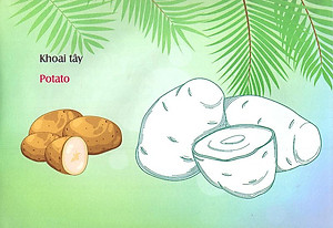 Sách Bé Làm Quen Môi Trường - Rau Củ