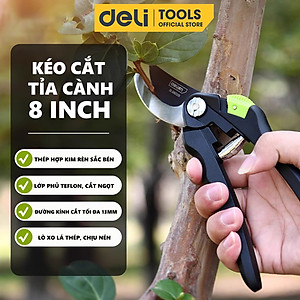 Kéo Cắt Tỉa Cành Cây Deli Chính Hãng 8inch - Lưỡi Thép Sắc Bén, Siêu Bền, Tay Cầm Đệm Cao Su An Toàn, Chắc Chắn DL580201