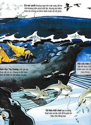 Sách Tương Tác - Big Book - Cuốn Sách Khổng Lồ Về Các Loài Động Vật Biển (Tái Bản 2018)