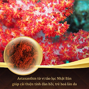 Combo 2 hộp viên uống Sắc Ngọc Khang vi tảo lục giúp đẹp da, chống lão hóa, ngăn ngừa nám sạm, tàn nhan hiệu quả