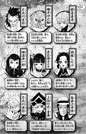 鬼滅の刃 19 (ジャンプコミックス) (日本語) KIMETSU NO YAIBA 19