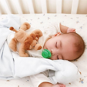 NÚM TI ĐỒ CHƠI NOOKUMS TỪ MỸ CHO BÉ