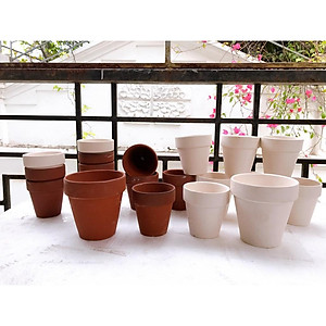 Chậu đất nung nâu chậu đất nung trắng