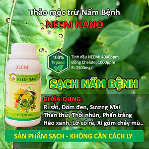 VƯỜN SINH THÁI - Thuốc trừ nấm bệnh sinh học neem nano. Quét sạch thán thư, rỉ sắt, thối nhũn, đốm đen, héo xanh, phấn trắng. 100% Thiên Nhiên