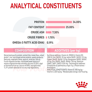 Thức Ăn Cho Mèo Mang Thai Và Mèo Con Royal Canin Mother Anh Babycat