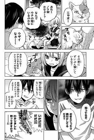 カッコウの許嫁 8 - A Couple Of Cuckoos 8