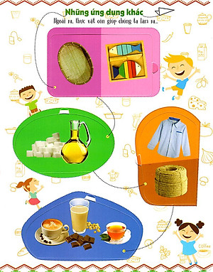 Sách Tương Tác - Lift-The-Flap - First 100 Plants - 100 Từ Đầu Tiên Về Thế Giới Thực Vật (Tái Bản)