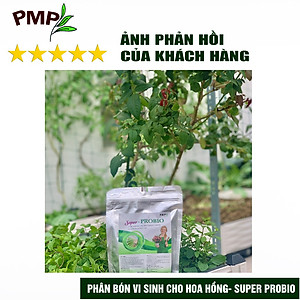 Combo Phân Hữu Cơ Cao Cấp Super Probio & Giá Thể Bã Mía Cho Hoa Hồng, Rau Sạch, Cây Cảnh