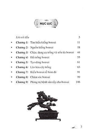 110 Câu Hỏi Đáp Chăm Sóc Và Tạo Dáng Bonsai (Tái Bản 2024)