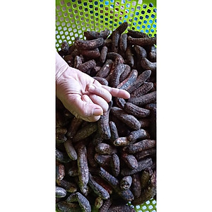 Đặc Sản Kon Tum - (Được Xem Hàng) 1Kg Chuối Hột Rừng Loại 1 (Loại Mật Chín Cây, Rất Thơm Và Ngọt) Đóng Gói Hút Chân Không - OCOP 3 Sao