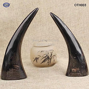 Chóp sừng trâu vật phẩm phong thủy (OTH003) HOT nhất của năm trâu vàng 2021 - giàu sang - phú quý 