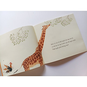 Sách Ehon Nhật Bản: Có Dài Không, Có Tuyệt Vời Không