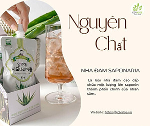 NƯỚC NHA ĐAM SÂM HỮU CƠ NGUYÊN CHẤT 100% GÓI 100ML HỖ TRỢ TIÊU HÓA