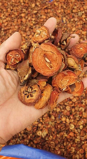 Đặc Sản Kon Tum - Trái Sơn Tra Táo Mèo Khô Hiệu Đặc Sản Và Dược Liệu Kon Tum (1Kg) - OCOP 3 Sao