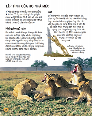 Sách Bách Khoa Tri Thức Về Khám Phá Thế Giới Cho Trẻ Em - Các Loài Mèo Lớn (Tái Bản 2018)