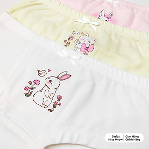 Quần Chip Tam Giác Cho Bé Gái, Set 3 Quần Lót 3 Màu Chất Cotton Cao Cấp, Mềm Mịn, Kháng Khuẩn Cho Bé Gái Từ 10-36kg