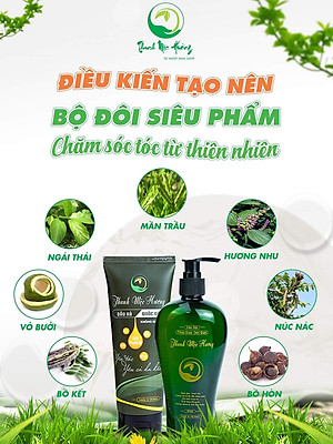 Combo dầu gội thảo dược Thanh Mộc Hương sạch gàu mượt tóc kích thích nang tóc phát triển 350ml