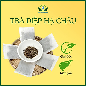 Trà Diệp Hạ Châu hộp 30 Túi Lọc x 3Gram của Siêu Thị Thiên Nhiên