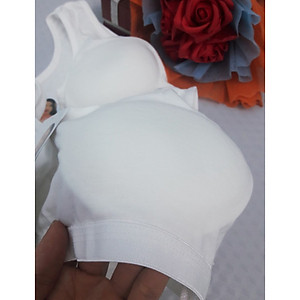 Combo 05 Áo lá học sinh  màu trắng 