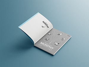 Định Luật Murphy - Khám Phá Năng Lượng Cảm Xúc Tích Cực