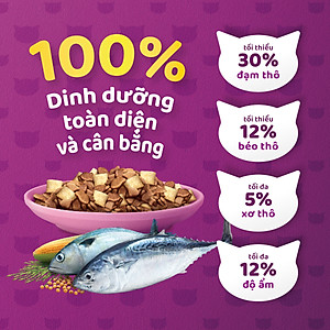 [Bộ 2] Thức Ăn Cho Mèo Con Whiskas Junior 2-12 Months Vị Cá Thu & Cá Biển (Mix Vị) 1.1kg/Túi