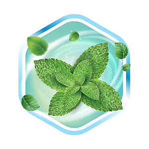 Tã/Bỉm DÁN Caryn Ngày và Đêm hương bạc hà mã mới giá rẻ dành cho người già, người lớn tuổi size M10 miếng