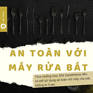 Bộ 6 thìa muỗng inox 304 DandiHome 2020 cao cấp, sang trọng, tinh tế