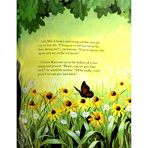 Sách Chiếc Túi Đầy Ắp Những Nụ Hôn (Tái Bản)