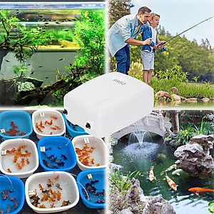 Máy sủi oxy tích điện Jebo 9950 2 vòi cao cấp, trữ điện 16- 24H, siêu bền, tiết kiệm điện.BH uy tín