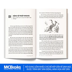 Sách - STEM Sinh Học – Thế Giới Tự Nhiên Kỳ Diệu