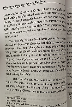 Đồng phạm trong luật hình sự Việt Nam