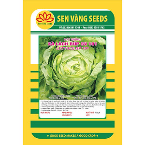 Hạt giống xà lách búp chịu nhiệt Italy VTS38