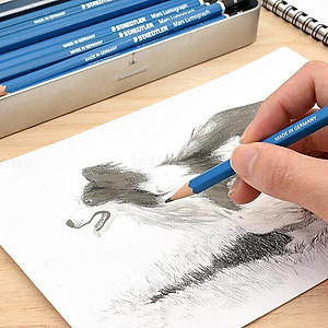 Bút Chì Staedtler 100-10B