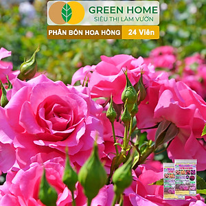 Phân Bón Hoa Hồng Greenhome, Gói 24 Viên, Giúp Cây Đâm Chồi, Thân Mập, Nhiều Nụ, Hoa To, Thắm Màu, Lâu Tàn