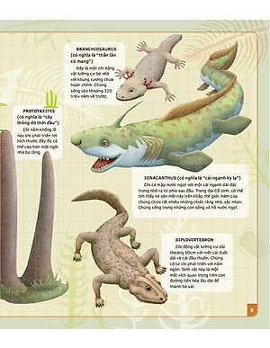 Sách thiếu nhi - Theo Dòng Thời Gian - Thời Tiền Sử (Bìa cứng)