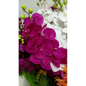 Hoa giả - Cành hoa lan hồ điệp cao su giả giống thật đến 99% cao cấp