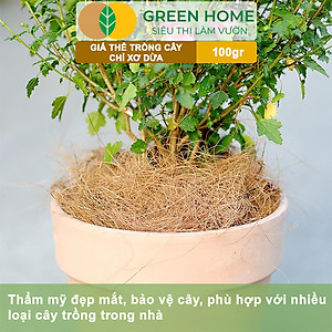 Chỉ Xơ Dừa Greenhome, Bao 100gr, Chuyên Dùng Giá Thể Trồng Lan, Kiểng Lá, Đắp Gốc Giữ Ẩm Cây Trồng